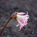 기쁨드리는공인중개사사무소 이미지