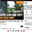 베트남 강타한슈퍼태풍 &#39;야기 &#34;30년만의 최강 태풍&#34; &amp; 버빙카 13호 한국에 오나 이미지