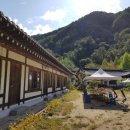 알프스비치 이미지