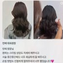 유성헤어