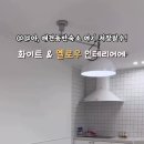 해피 도그 데이 이미지