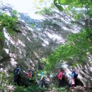 [주말산행코스] 호서의 산 조령산 이미지