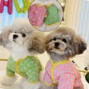 클라라애견 이미지