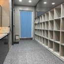 스위밍차일드 이미지