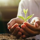 조비농장 이미지