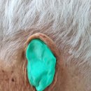 굿모닝보청기 이천센터 이미지