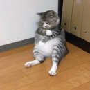 만수6동-9 이미지