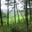 이영목장 이미지