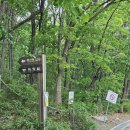 대운건설 | #55｜등린이의 나 홀로 관악산 등산 도전기⛰️ + 피크닉🍱