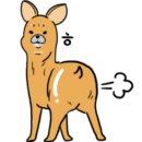 숙명음악교습소 네이버블로그