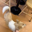 카페 포 너드 이미지