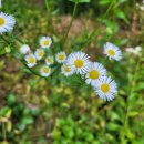 안경일번지 이미지