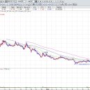 랩바이오 이미지