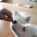 또와PC 이미지