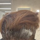 플랜에이치 헤어(응암점) | 건대미용실 뿌리염색 자연스럽게 잘하는 플랜에이치헤어 자양역점 후기