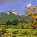 새신처럼 이미지