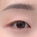 (내돈내산) 일산 리젤래쉬 찐단골 무쌍 속쌍 속눈썹펌 후기♡