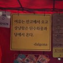 정왕동 헬스장 프렌드짐 다니다가 피트니스 대회 출전하고 바디프로필 찍은 이야기 (feat. 수달 일상)
