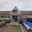 배우네생버섯 이미지