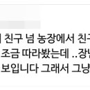 솔직히 전 돼지발정제 사건 때문에 더 호감 됐어요 이미지