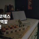 오픈AI 코덱스 사이트·역할 플러그인, 비개발자 영역 정복 시작