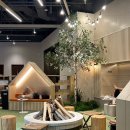 스파디움24 이미지