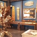 오션파라다이스 이미지