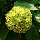 내일을 향하여 이미지