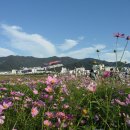 대저생태공원 이미지