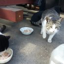 형제모터스 이미지