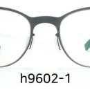 H9602 이미지