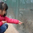 화원동산 동물원 이미지