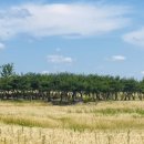 충의공원(충혼탑) 이미지