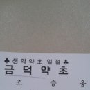 금덕약초