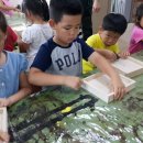 까리따스어린이집 이미지