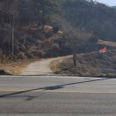 싸리마루 이미지