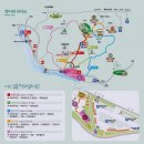 2019 광양 매화축제 정보 가득 후기