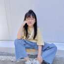 청기디자인 이미지