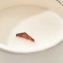 유로애견샵 이미지