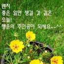 양지복지센터 이미지