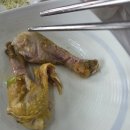 진천 광혜원 구암 저수지 맛집 약초꾼 한방 삼계탕 내돈내산 후기