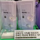 놀디스튜디오