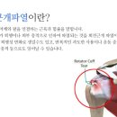 연세든든척의원 이미지