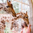 지구마블 이미지