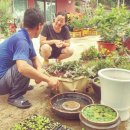 화계농장 이미지