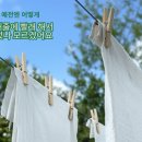신성세탁소 이미지