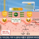 비타민의료기