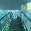 748 | 인천공항 2터미널에서 아시아나 항공 푸켓 여행 OZ747,OZ748 기내식, 유료좌석 후기