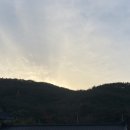 브로스커피 이미지