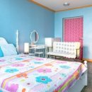 쁘띠독애견펜션 이미지